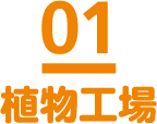 01 植物工場